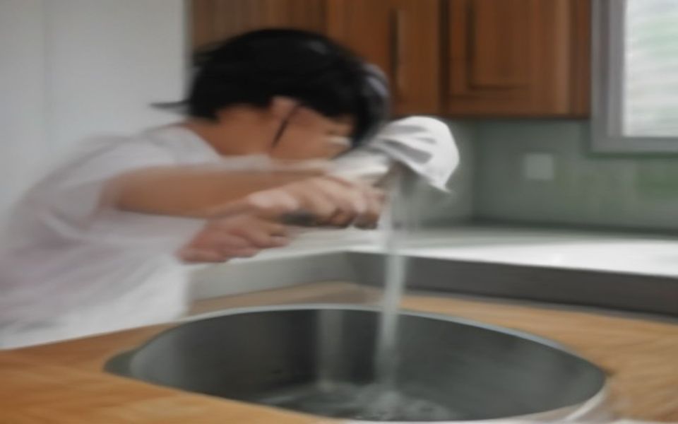 여름철 주방 싱크대 초파리 완벽 퇴치하는 현실 꿀팁 3가지 실사용 사진